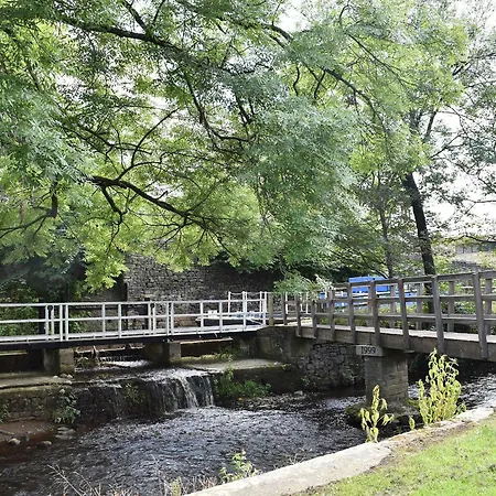 Vakantiehuis Mallard's Nest